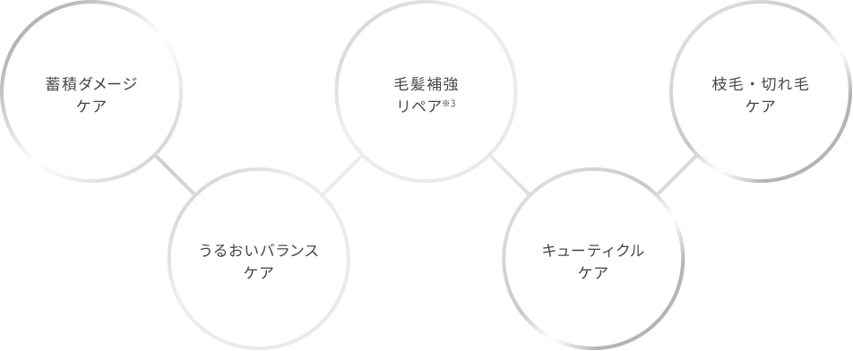 蓄積ダメージケア、うるおいバランスケア、毛髪補強リペア※3、キューティクルケア、枝毛・切れ毛ケア