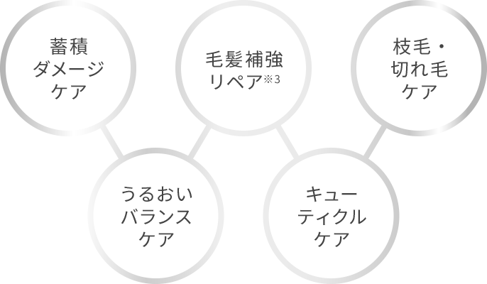 蓄積ダメージケア、うるおいバランスケア、毛髪補強リペア※3、キューティクルケア、枝毛・切れ毛ケア