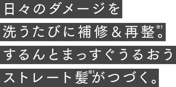 日々のダメージを洗うたびに補修&再整※1。するんとまっすぐうるおうストレート髪※1がつづく。