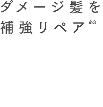 ダメージ髪を補強リペア※3 TRINITY REPAIR SYSTEM