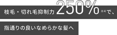 枝毛・切れ毛抑制力250%※4で、指通りの良いなめらかな髪へ