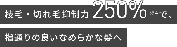 枝毛・切れ毛抑制力250%※4で、指通りの良いなめらかな髪へ